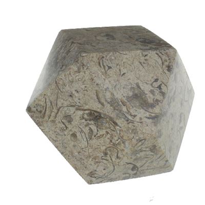 Fossil Stone Geometric Paperweight Large